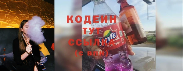 дмт Елизово