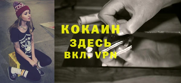 спайс Ельня