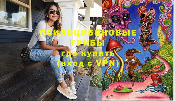 герыч Елабуга