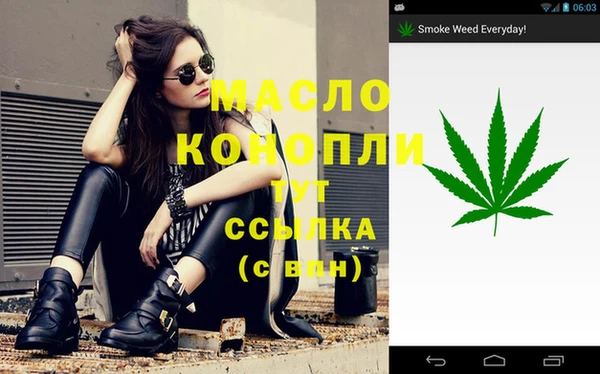 дмт Елизово