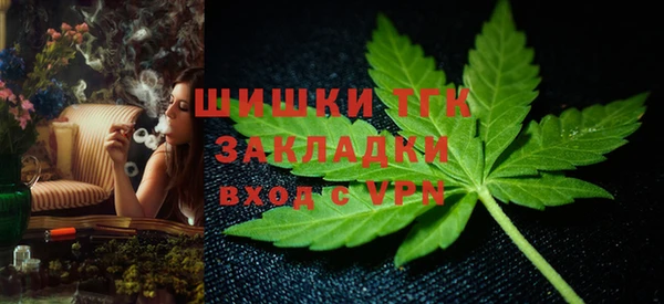 спайс Ельня
