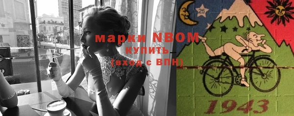 дмт Елизово