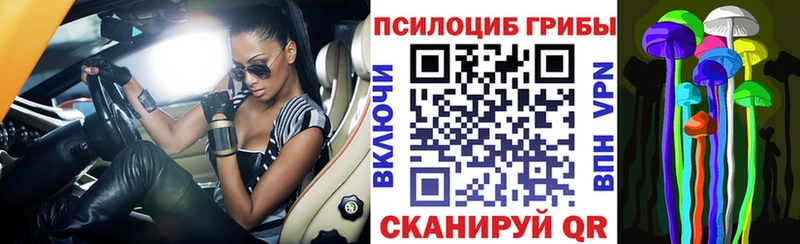 даркнет сайт  kraken как зайти  Псилоцибиновые грибы мухоморы  Калач 